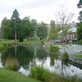 Dsc00253
